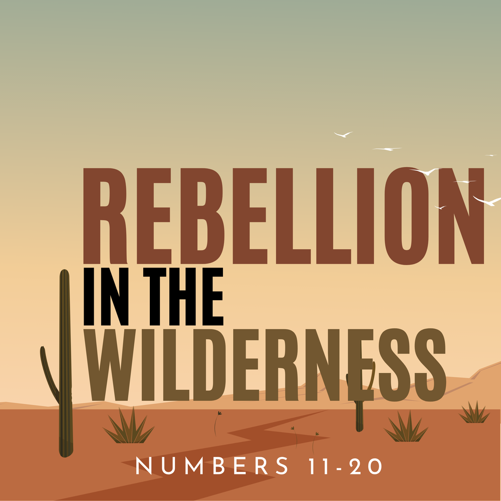 Rebellion in the Wilderness